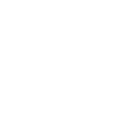 Penguin King